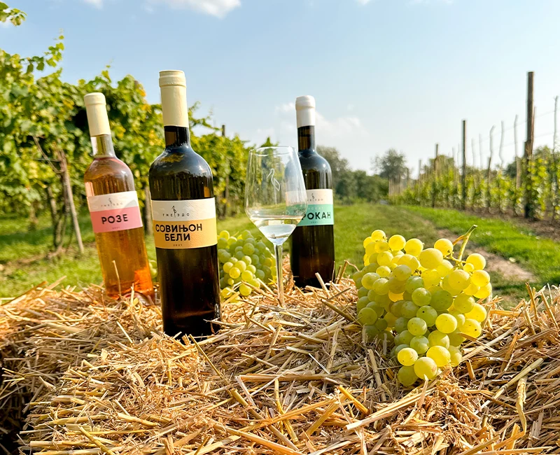 Vinarija sa tradicijom